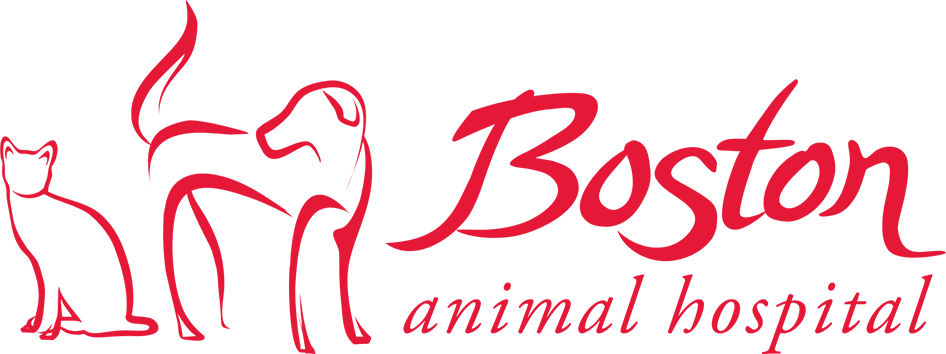 Boston Animal Hospital - North Station Logo