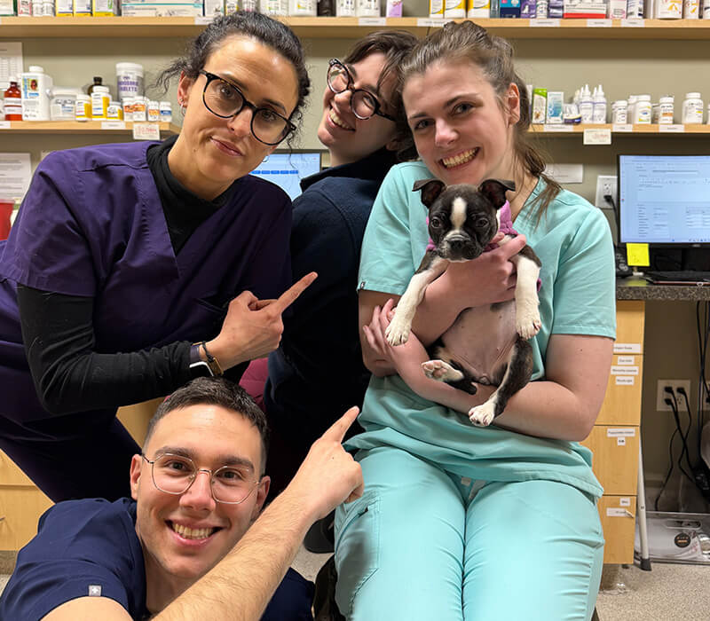 the team huddled around a small puppy