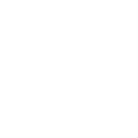 pet acupuncture icon