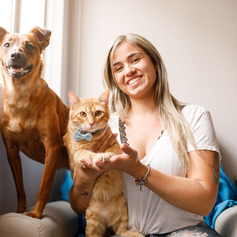 A girl playing with a cat and a dog