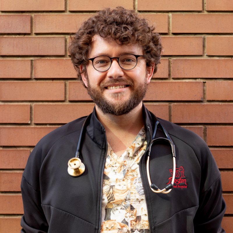 Dr. Daniel Hemstreet