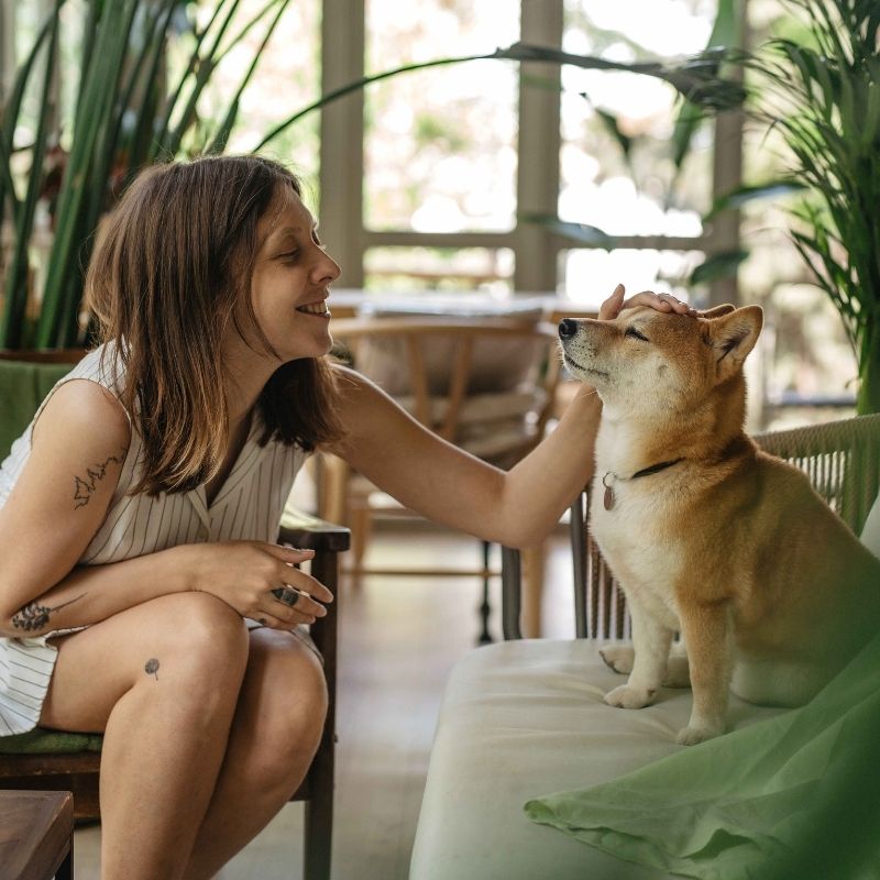 a girl is loving a dog