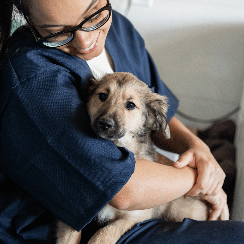 man with a white dog