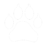 pet acupuncture icon